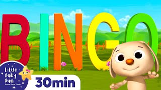 Bingo  Nursery Rhymes and Kids Songs  Little Baby Bum [upl. by Breena625]