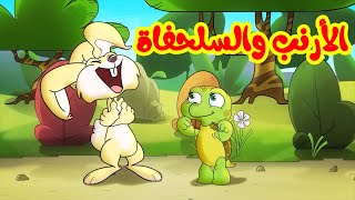 الأرنب والسلحفاة  طيور بيبي Toyor Baby [upl. by Beka626]