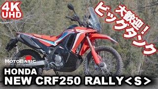 新型 CRF250ラリー ホンダ・バイク試乗ショートレビュー HONDA NEW CRF250 RALLY TEST RIDE [upl. by Oiramed]