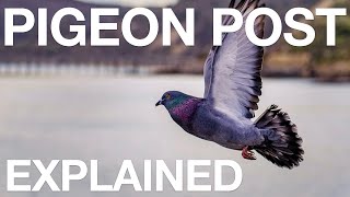 Pigeon Post  Explained [upl. by Leoine]