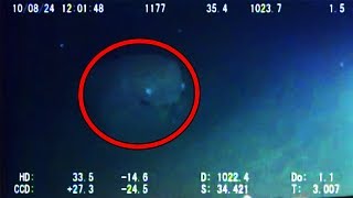 12 Mysterious Underwater Creatures Caught on Tape [upl. by Carine]