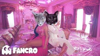 KAROL G Nicki Minaj  Tusa Cover Gatos [upl. by Regni234]