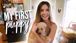 The Day I Got My Puppy [upl. by Bord113]