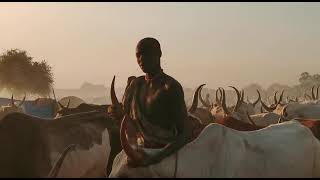 Mundari Cattle Camp Mundari tribe South Sudan [upl. by Acinelav428]