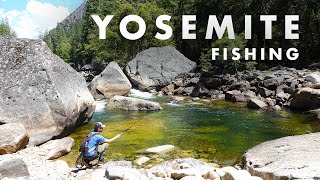 Fishing INCREDIBLE Streams in Yosemite National Park Tenkara Fly Fishing [upl. by Romy]