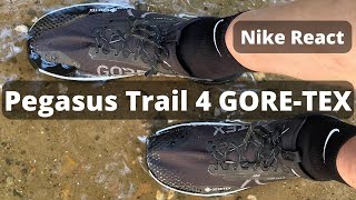 Nike React Pegasus Trail 4 GORETEX [upl. by Townie849]