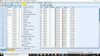 Análisis de un estudio Descriptivo Comparativo en el SPSS [upl. by Yorgerg]