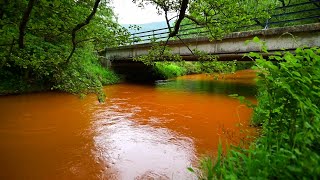 ‘Devastated’ River Runs Red [upl. by Akiam]