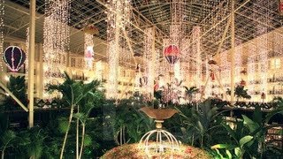 Gaylord Opryland Resort Christmas [upl. by Ahseetal]