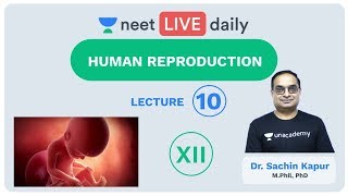 Human Reproduction  Lecture 10  Class 12  Unacademy NEET  LIVE DAILY  NEET Biology  Dr Sachin [upl. by Acimahs]