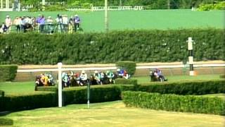 1992 Breeders Cup Mile [upl. by Glendon232]