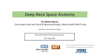 Head amp Neck  Radiology  Deep Neck Space Anatomy  Dr Ashok Adams [upl. by Nosinned]