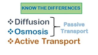 Cell Transport Diffusion osmosis active transport [upl. by Elleined335]