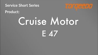 Torqeedo Cruise Motor E 47 [upl. by Darsie]