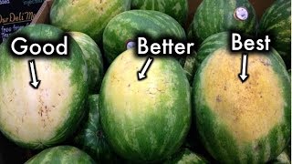 How To Pick The Sweetest Watermelon Every Single Time [upl. by Linda]