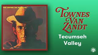 Townes Van Zandt  Tecumseh Valley Official Audio [upl. by Anitsrihc]