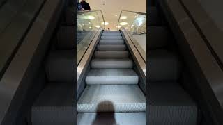 OTIS Escalator next to SPAR [upl. by Jacobson]