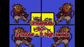 Tibia Urmahlullu  Big profit boss [upl. by Aimahc]