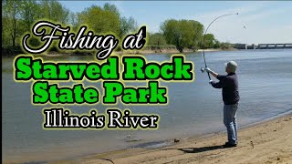 FISHING AT STARVED ROCK  Illinois River [upl. by Esiom407]