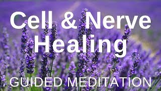 Guided HEAL Meditation  Cell and Nerve Healing Self Healing Meditation [upl. by Vigor]