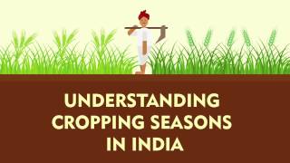 Understanding Cropping Seasons in India  Kharif Rabi Zaid  Factly [upl. by Swinton]