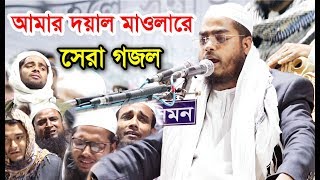 আমার দয়াল মাওলারে হাফিজুর রহমান সিদ্দিকীর সেরা গজল। Hafizur Rahman Siddiki New Gojol 2019 [upl. by Sidnala]