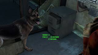 cryolator dogmeat fetch glitch fallout 4 [upl. by Cynthy]