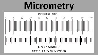 Micrometry  Measurement Of Microorganisms [upl. by Ydur708]