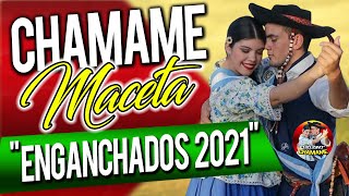 ✅ ✔ CHAMAME MACETA  Enganchados 2021 SUPER BAILABLE quotEXCLUSIVO CHAMAMEquot [upl. by Rushing]