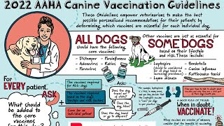 2022 AAHA Canine Vaccination Guidelines [upl. by Granny]