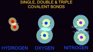 SINGLE DOUBLE amp TRIPLE COVALENT BONDS [upl. by Leid]