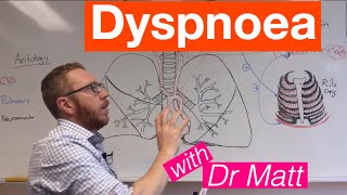 Dyspnoea  Respiratory System [upl. by Meggi646]