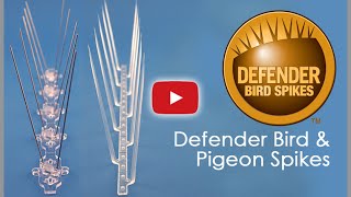 How to Install Defender Bird Spikes amp Pigeon Spikes  Installation Guide [upl. by Mitchell]