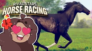 Galloping Into DAZZLING DREAMS with Desktop Mode 🐴🏆 Rival Stars Horse Racing • 2 [upl. by Latsryc]