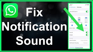 How To Fix WhatsApp Notification Sound EASY [upl. by Tnomyar]