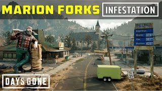 Marion Forks Infestation  Location of All Nests  Days Gone [upl. by Sherilyn474]