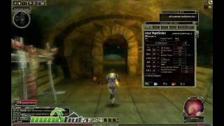 Dungeons and Dragons Online Gameplay  First Look HD [upl. by Shoemaker]