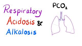 Respiratory Acidosis amp Alkalosis  AcidBase Imbalance [upl. by Nauq]