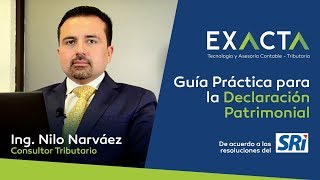 Guía Práctica para la Declaración Patrimonial [upl. by Graybill]