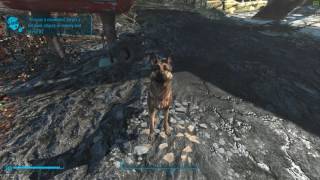 Fallout 4 Mod  Dogmeat Bark Replacer  FCK [upl. by Harlen]