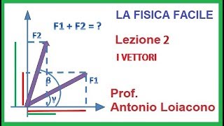 LA FISICA FACILE  Lezione 2  I Vettori [upl. by Joab]