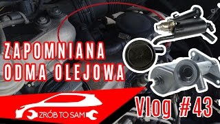 Odma olejowa objawy  diagnoza  omówienie Vlog 43 [upl. by Soble764]