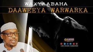 WAXYAABAHA DAAWEEYA WARWARKA amp WALBAHAARKA Depressionka ᴴᴰ┇ Sh Mustafe Xaaji Ismaaciil [upl. by Borrell826]