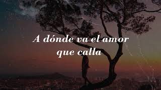 A Dónde Va El Amor 🎶 Ricardo Montaner  Letra [upl. by Lovato]