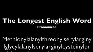 Longest English Word Pronounced [upl. by Sheley]