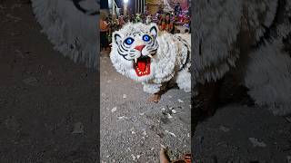 Barongan macan terbaru [upl. by Fantasia]