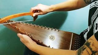 Bowed Psaltery  Shady Grove [upl. by Ayerhs]