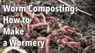 Worm Composting How to Make a Wormery [upl. by Rhtaeh]