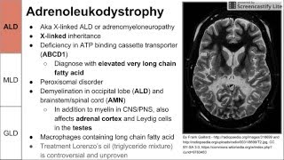 Leukodystrophies ALD MLD and GLD [upl. by Eidok914]