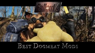 Fallout 4 Mods  Best Dogmeat Mods [upl. by Lumbye900]